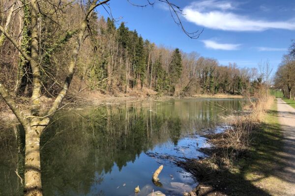 Chlauswanderung