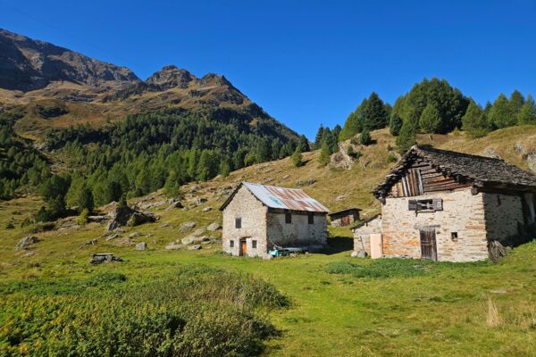Selvasecca un luogo misterioso conservato nel tempo