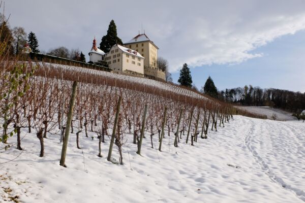 Douceur près du lac de Baldegg