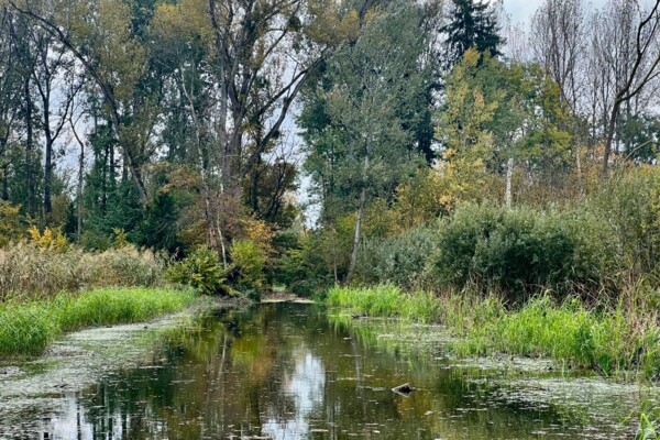 Wandern und beobachten in La Sauge