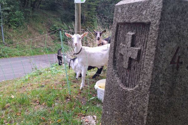 Auf den Spuren der Urzeit im Jura
