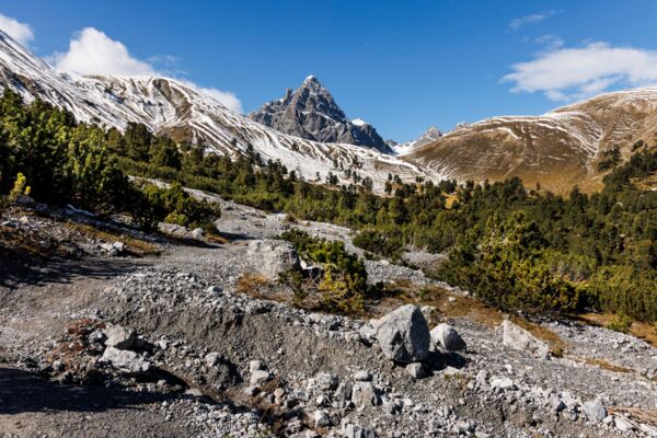 Zur Hirschbrunft ins Val Mingèr