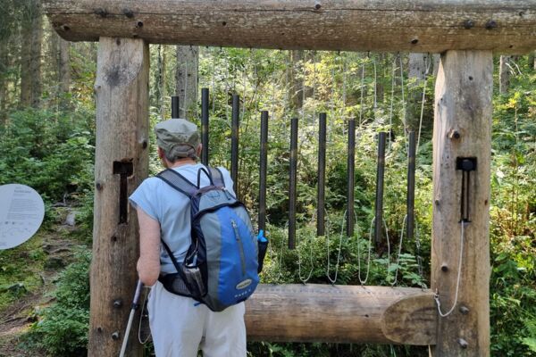Klangweg Toggenburg – Une Randonnée pour les sens