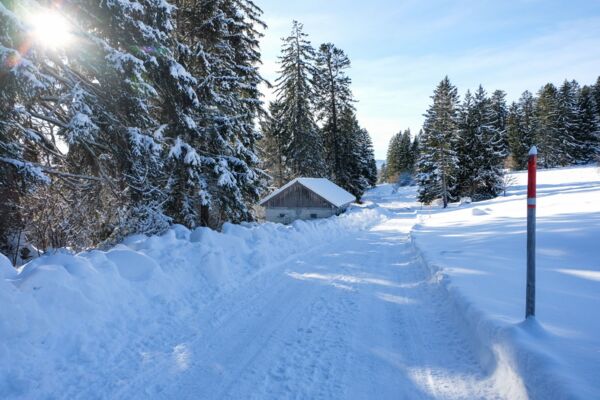 Sous le Chasseral, au-dessus du brouillard