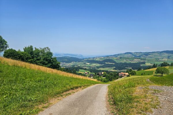 Attraverso la fresca gola di Choleren