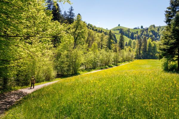 Frühlingswanderung durch Moränenlandschaft
