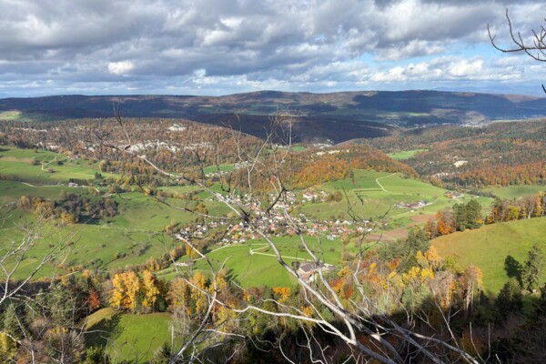 Sur la crête du Fringeliberg