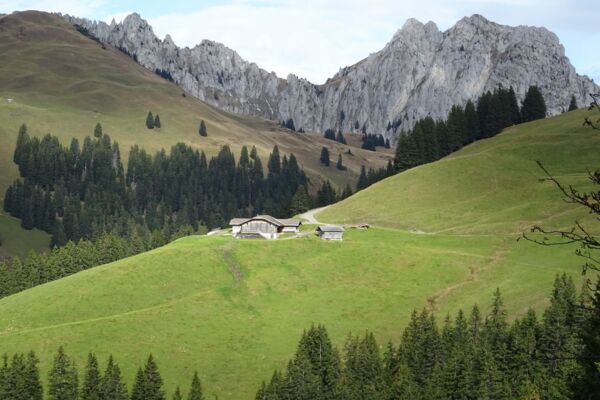 Sur les hauteurs du Saanenland