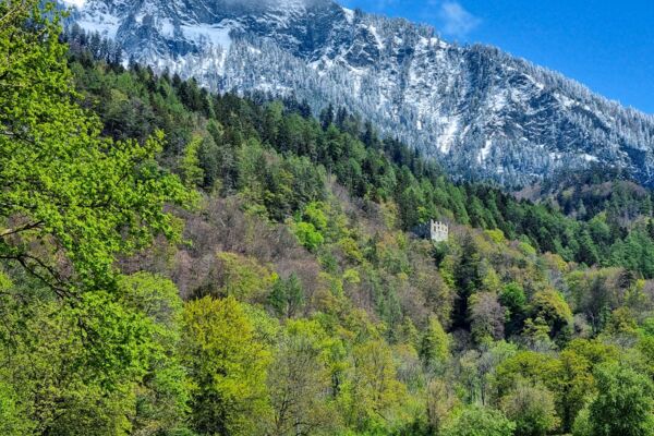 Passeggiata tra vigneti e castelli attraverso la Signoria Grigionese