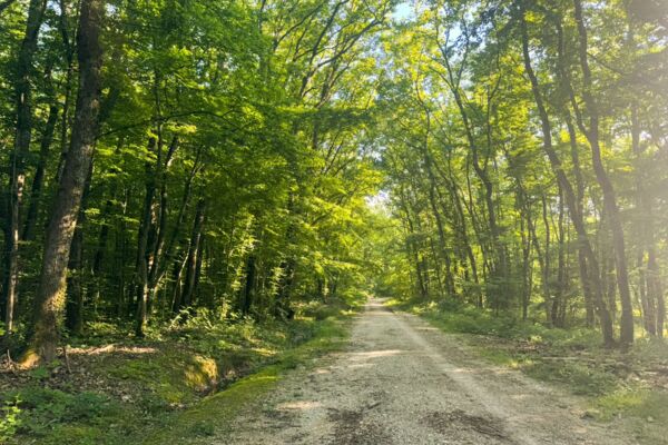 Una tranquilla passeggiata tra natura e città