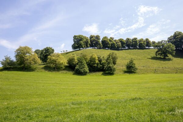 Le jardin thurgovien de Charlemagne
