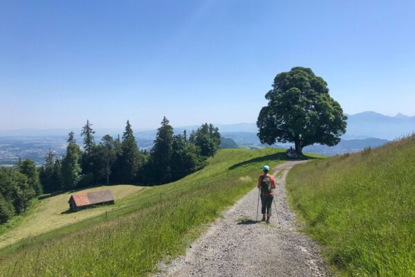 Simpatica escursione per la famiglia attraverso un paesaggio di drumlin