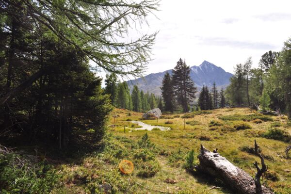 Bergseen