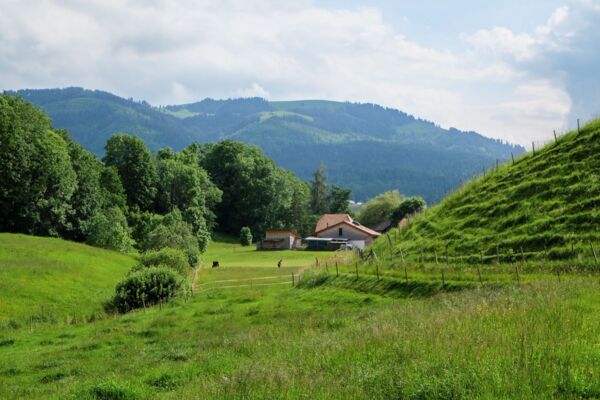 Abenteuer an der ursprünglichen Sense