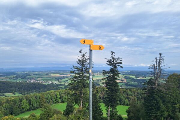 À travers l'Ajoie entre prairies, forets et temps immémoriaux