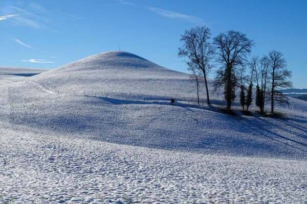 Vers les kames de la Gruyère