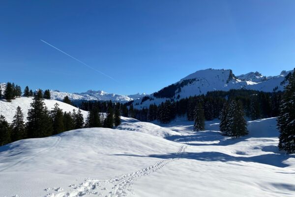 Stoos Waldhüttli