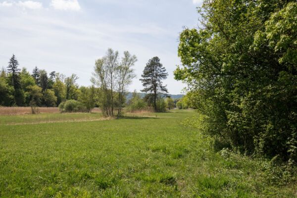 Sur les traces du sel entre Diessenhofen et Schaffhouse