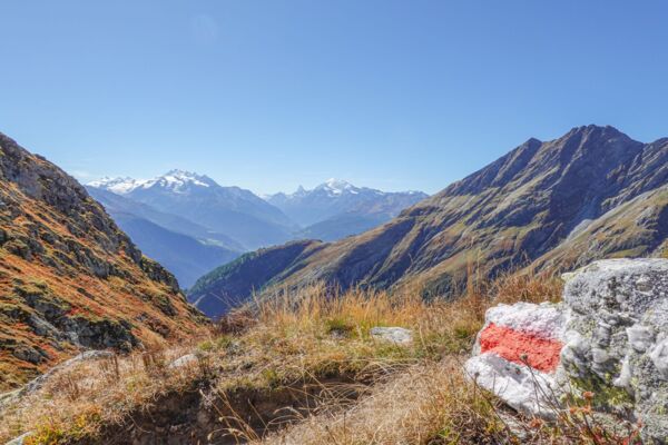 Suone und Panorama am Foggenhorn