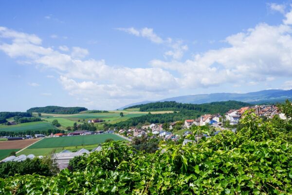 Idyllische Wildnis und Steinbruch bei La Sarraz