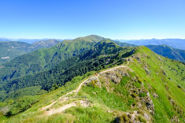Selves de châtaigniers et crête dans le Malcantone