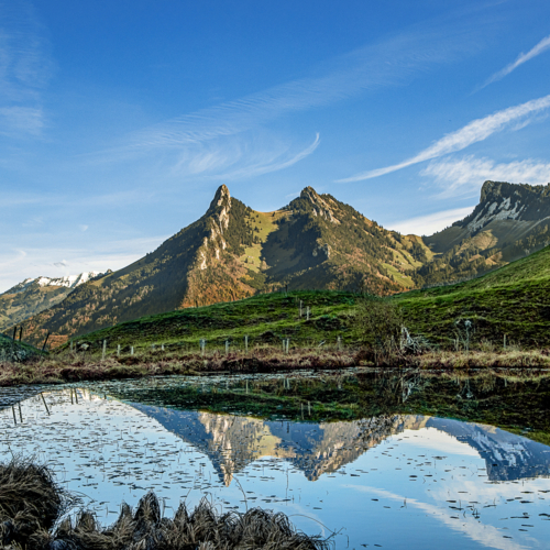 _MG_1025 copie