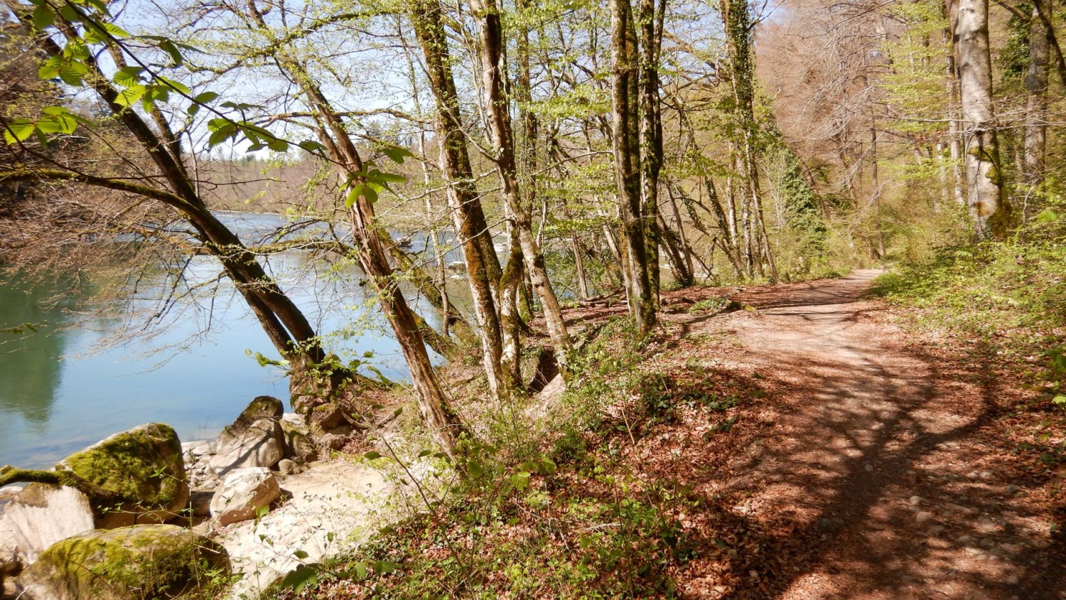 Unter dem frühlingshaften Blätterdach geht es flussabwärts.