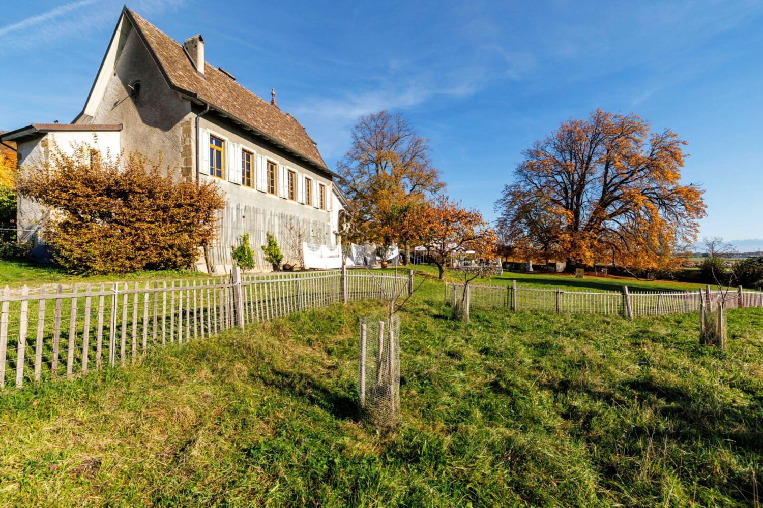 Im Château de Luins gibt es einen Degustationsraum.
