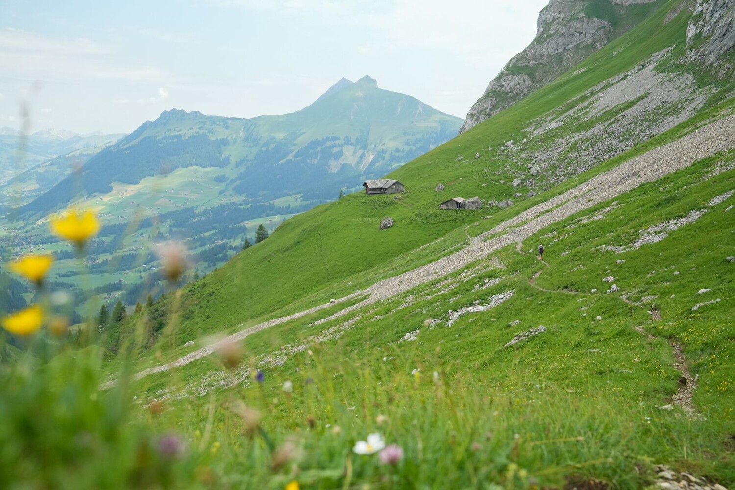 Sur le chemin à flanc de montagne après la Geltenhütte CAS. Les marmottes sont nombreuses par ici.
