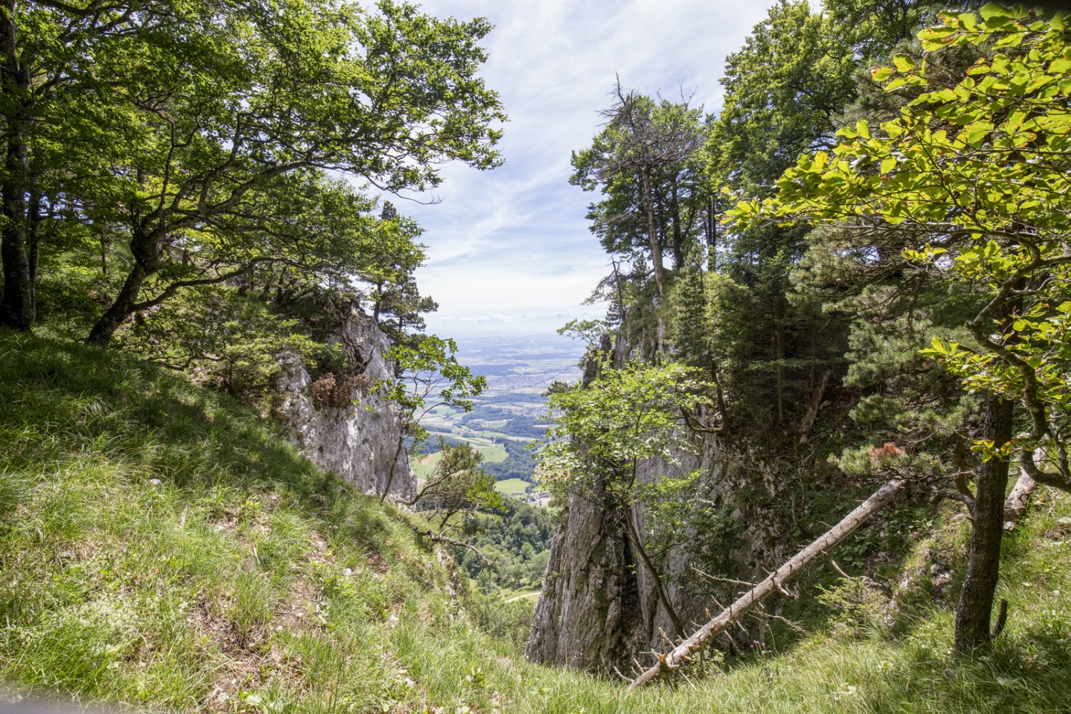Ab und zu erhascht man in den Chambenflüe einen Tiefblick aufs Mittelland. Bild: Daniel Fleuti