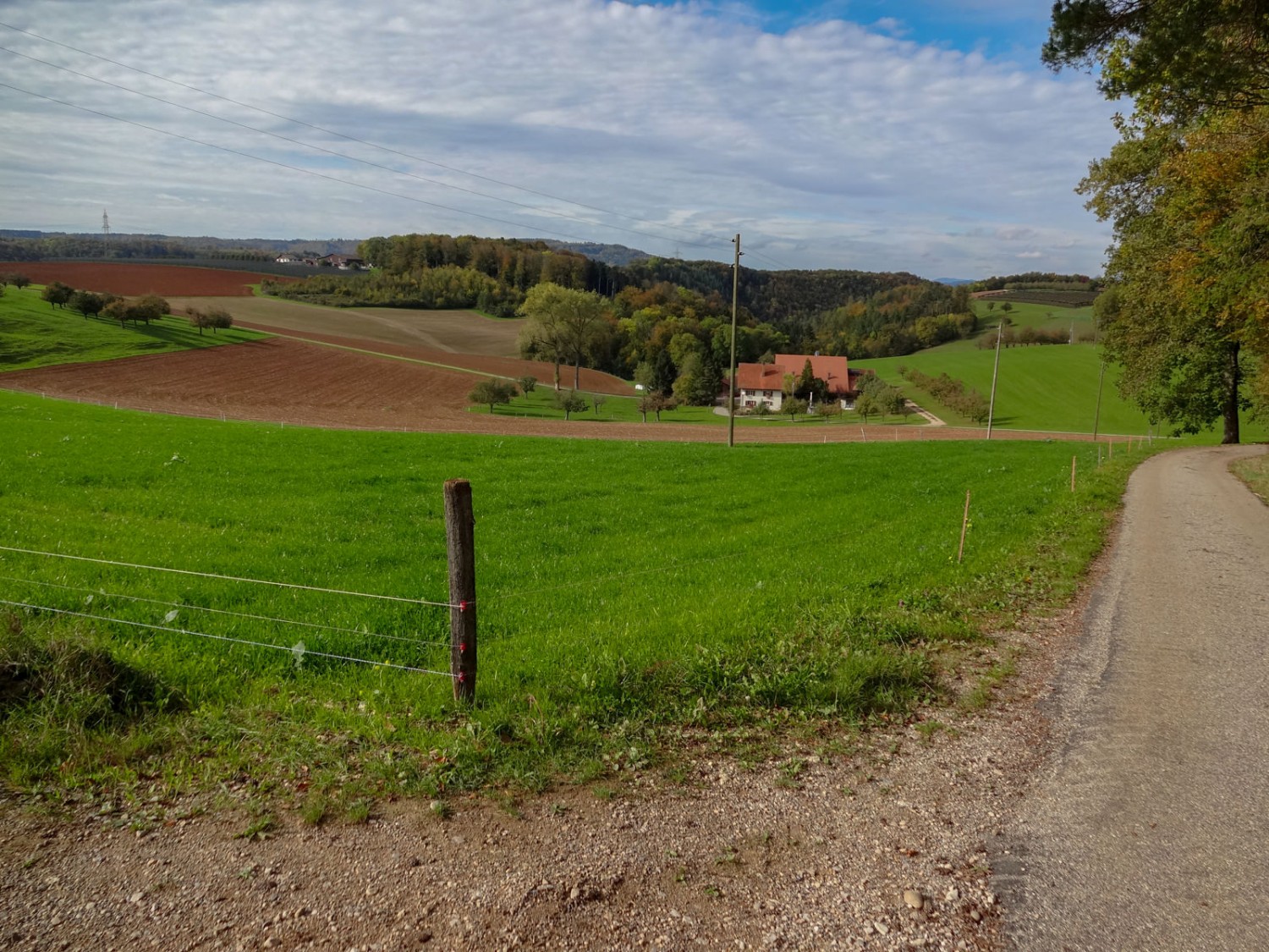 Kurz vor Wölflinswil, beim Waldausgang, ist die Landschaft leicht hügelig. Bild: Miroslaw Halaba