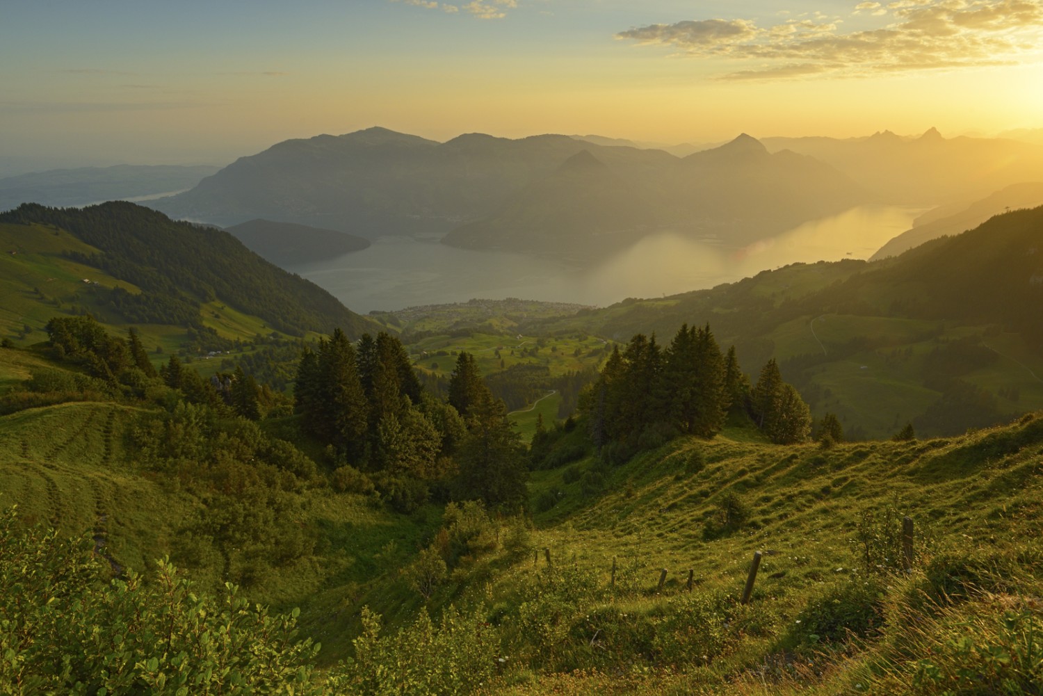 Beckenried und der Vierwaldstättersee im goldenen Morgenlicht. So golden wie die Sonne ist auch der Bergkäse, der hier produziert wird. Bild: natur-welten.ch