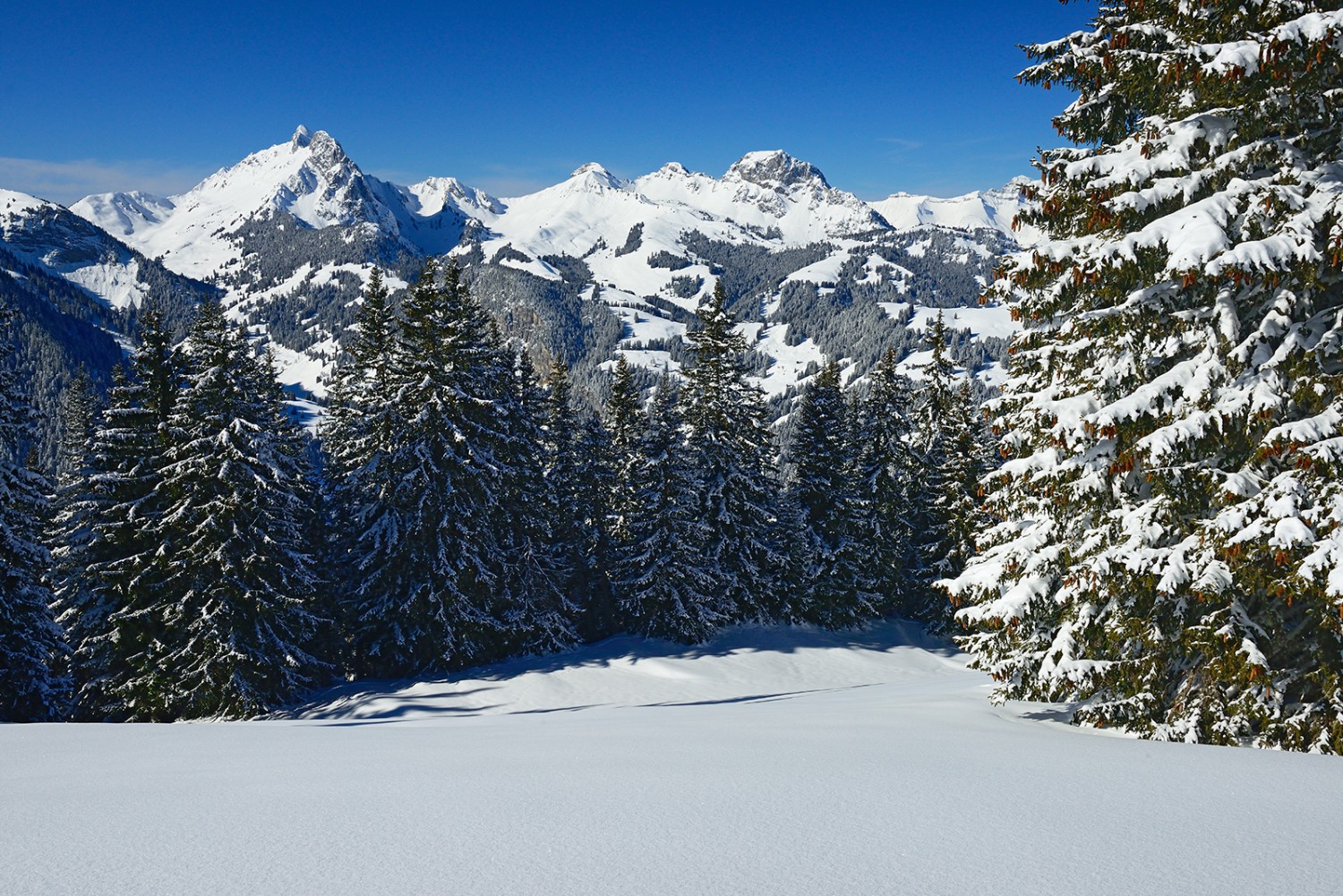 Panoramareich führt die Wanderung über die Höji Wispile.
Bilder: natur-welten.ch
