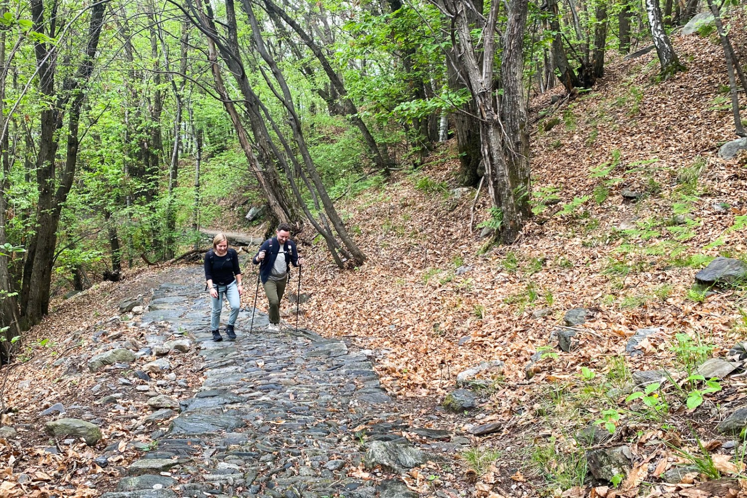 Typiquement tessinois: les randonnées sur les anciens chemins pavés à travers les forêts de châtaigniers. Photo: Loïc von Matt