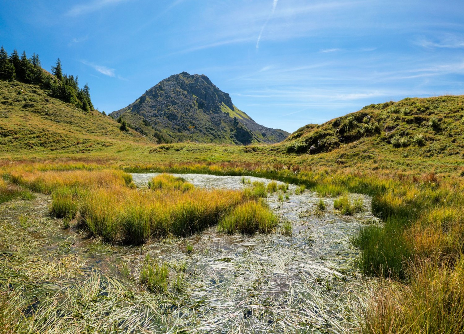 Alpine Rundwanderung im Herzen des Glarnerlandes
