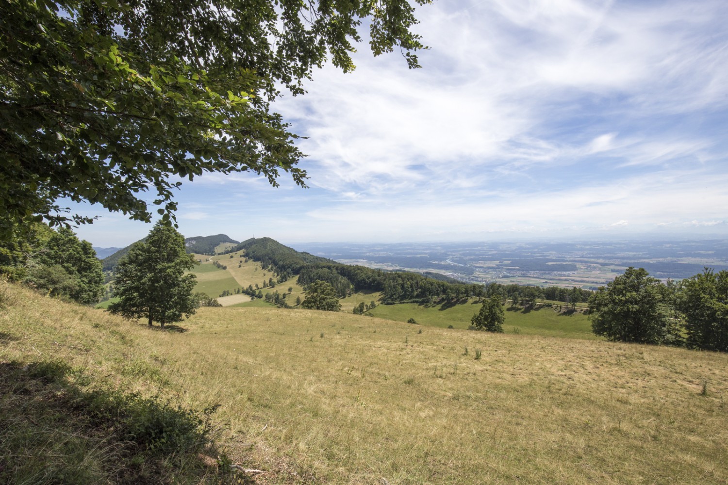 Beim Hofbergli verlässt man den einen Grat und hat bereits den nächsten im Blick, der einen bald vom Höch Chrütz zur Bättlerchuchi bringen wird. Bild: Daniel Fleuti