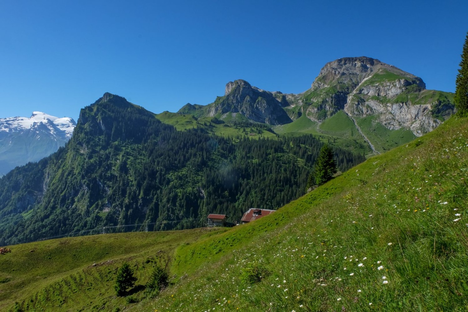 Le trio de l’Alp Lutersee: le Salistock, le Hohliecht et le Widderfeld Stock.