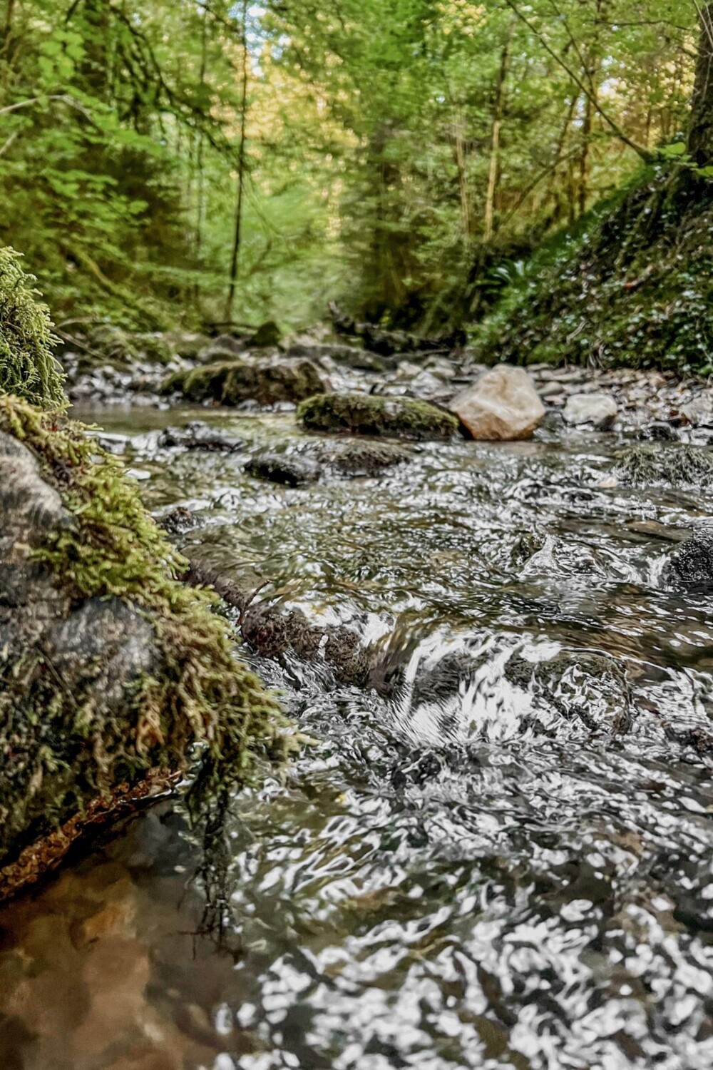 La balade longe le ruisseau Tabeillon sur les dix premiers kilomètres.
