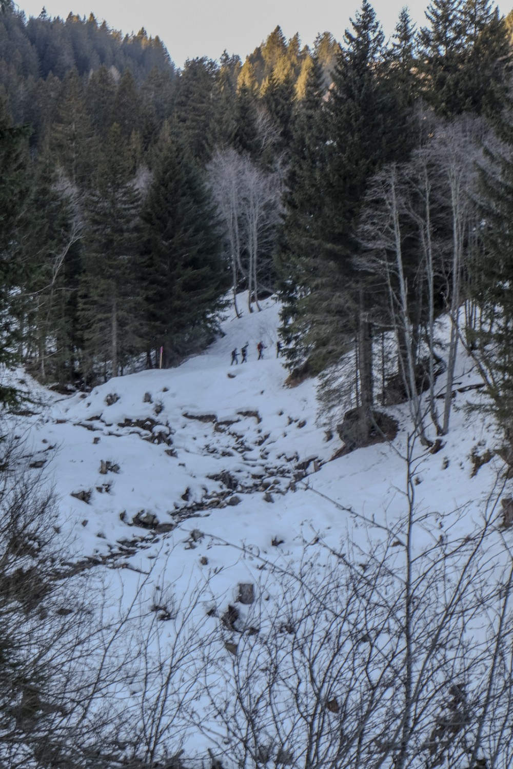 In einer engen Kehre überquert man den Ri di Piera.
Bild: Elsbeth Flüeler