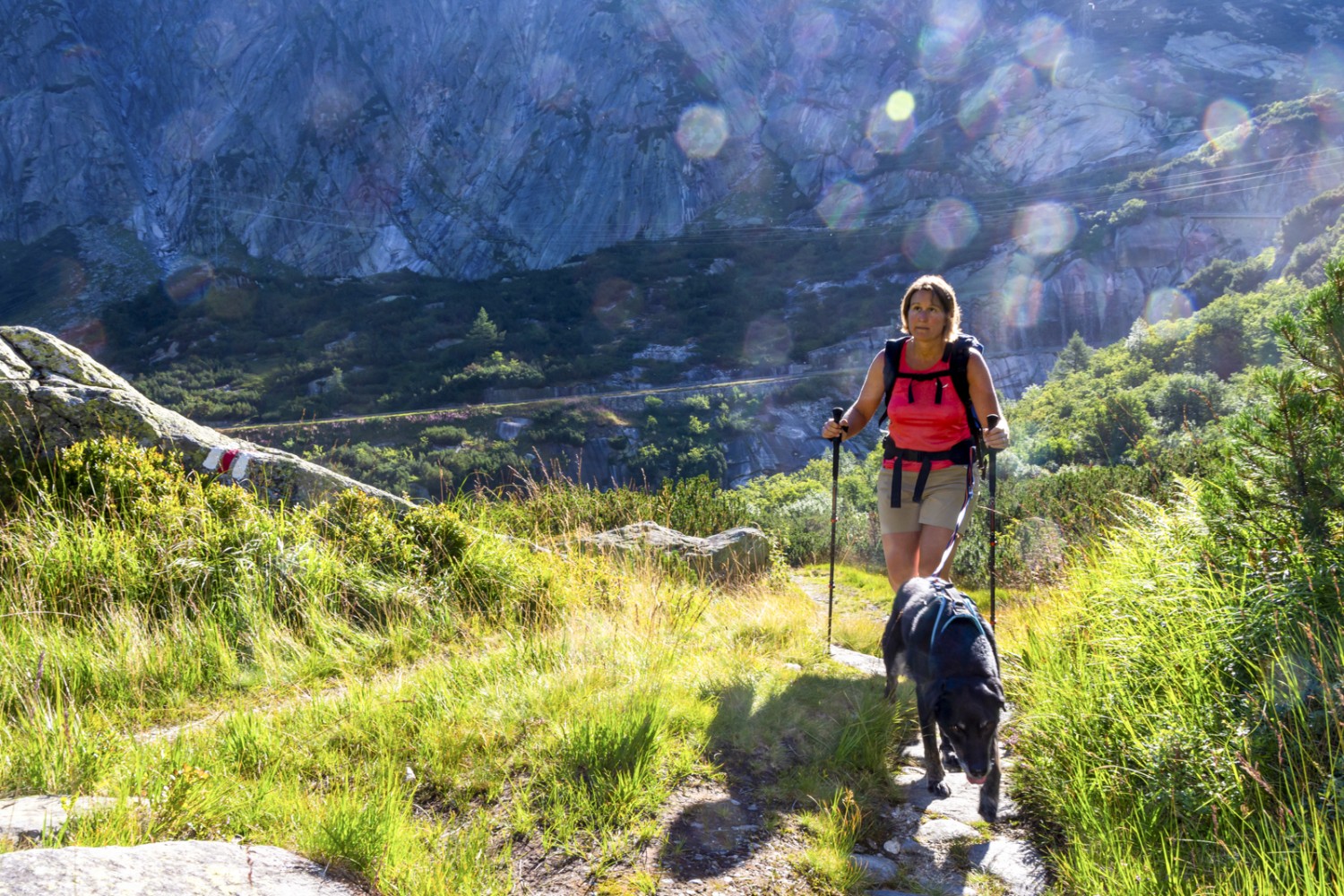 Der Wanderweg ist gut in die Landschaft eingebettet; im Hintergrund die Grimselpass-Strasse. Bild: Franz Ulrich