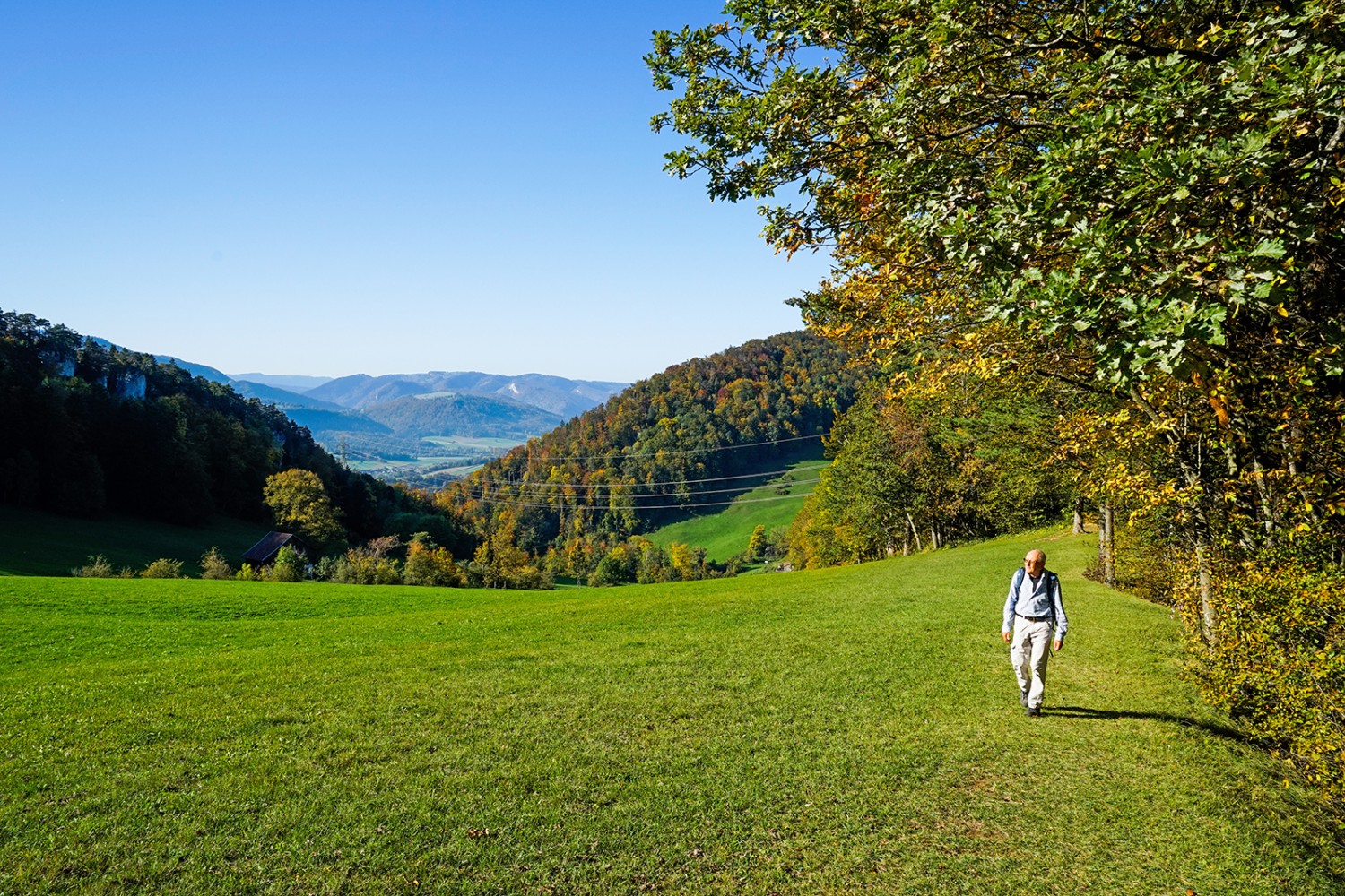 Nahezu weglos steigt man zum Grat über dem Stierenberg hinauf.
Bilder: Fredy Joss