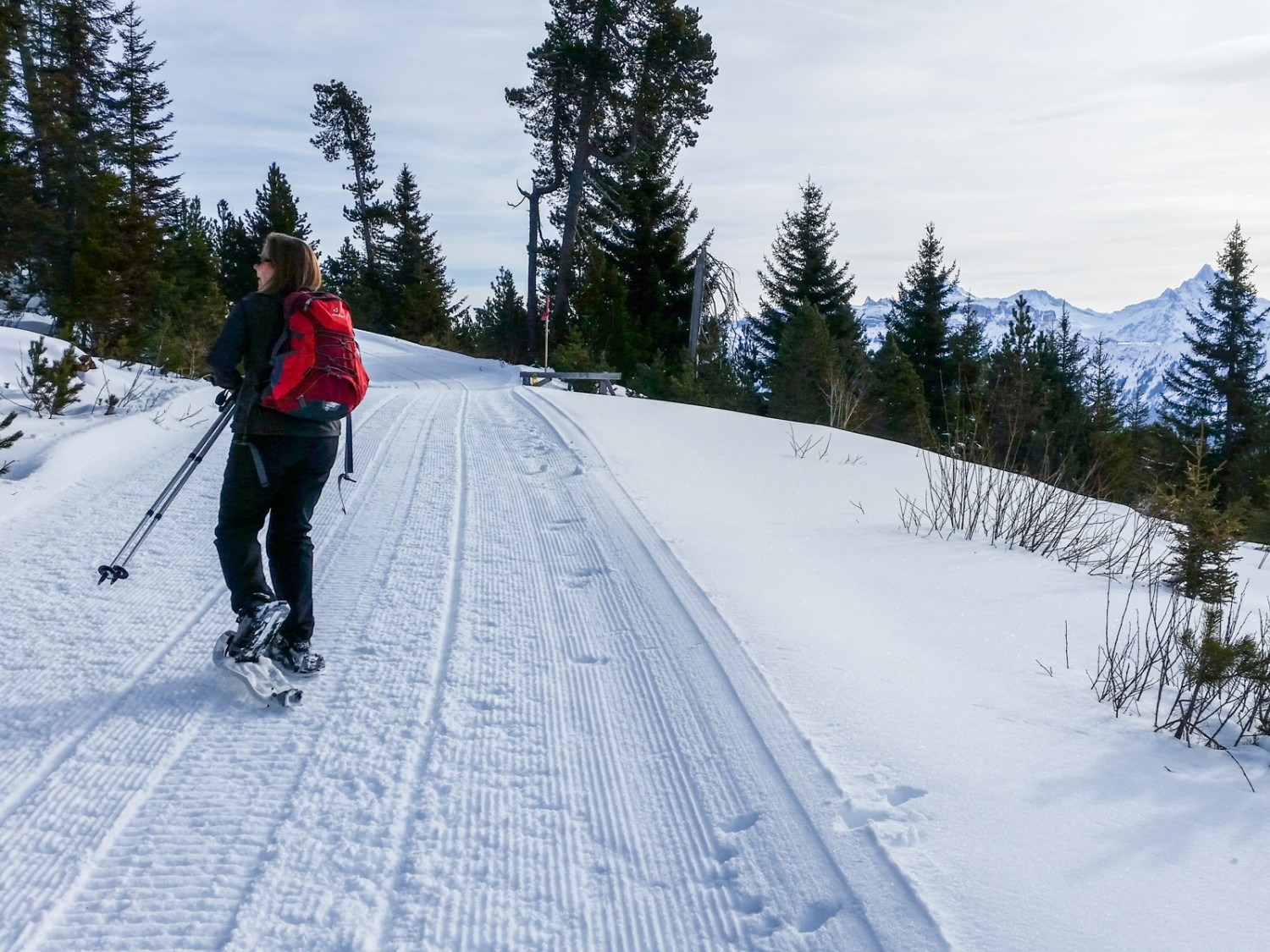 Zunächst verläuft die Tour dem Winterwanderweg entlang.