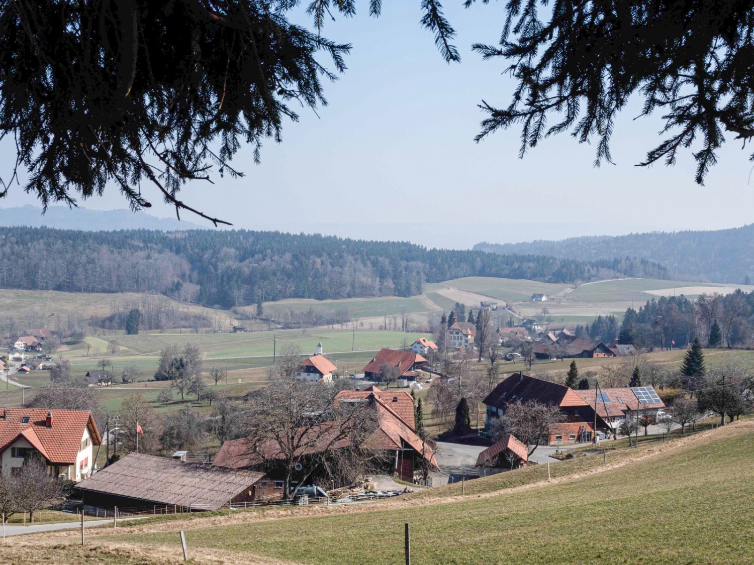 Vue sur le village de Schiltwald depuis Schweikhof. Photo: Barbara Graber