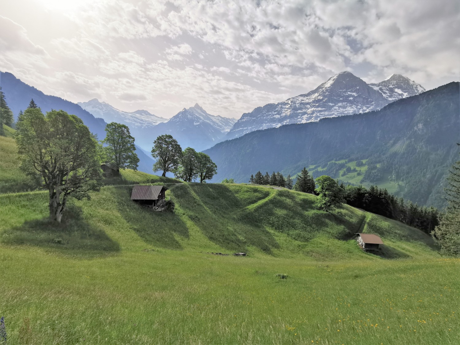 Vue sur le Schreckhorn, le Mittellegigrat et la paroi nord de l’Eiger. Bild: Andreas Staeger