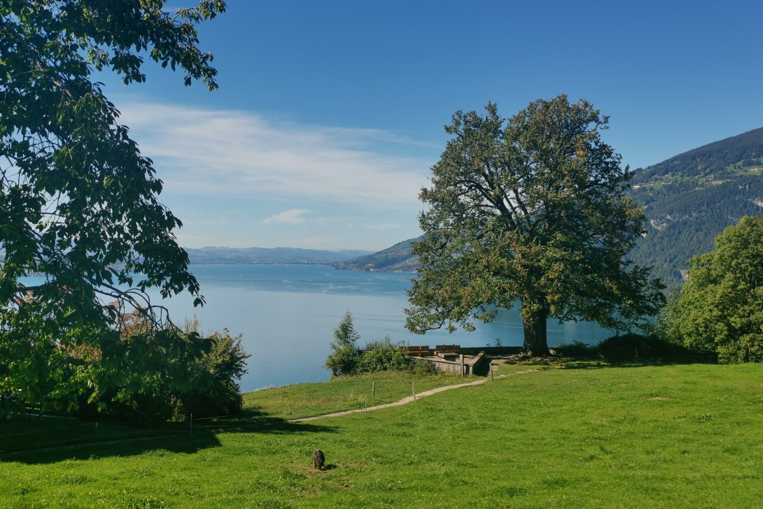 Monument Hodler sur le Finel, Meielisalp. Photo: Evelyne Zaugg