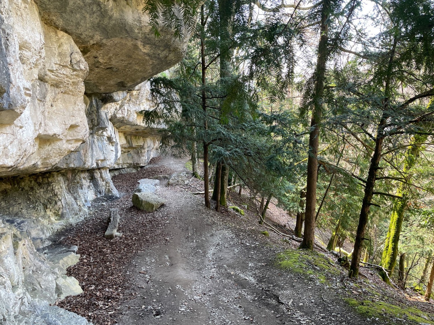 Les parois blanches bordent le chemin des gorges du Seyon.