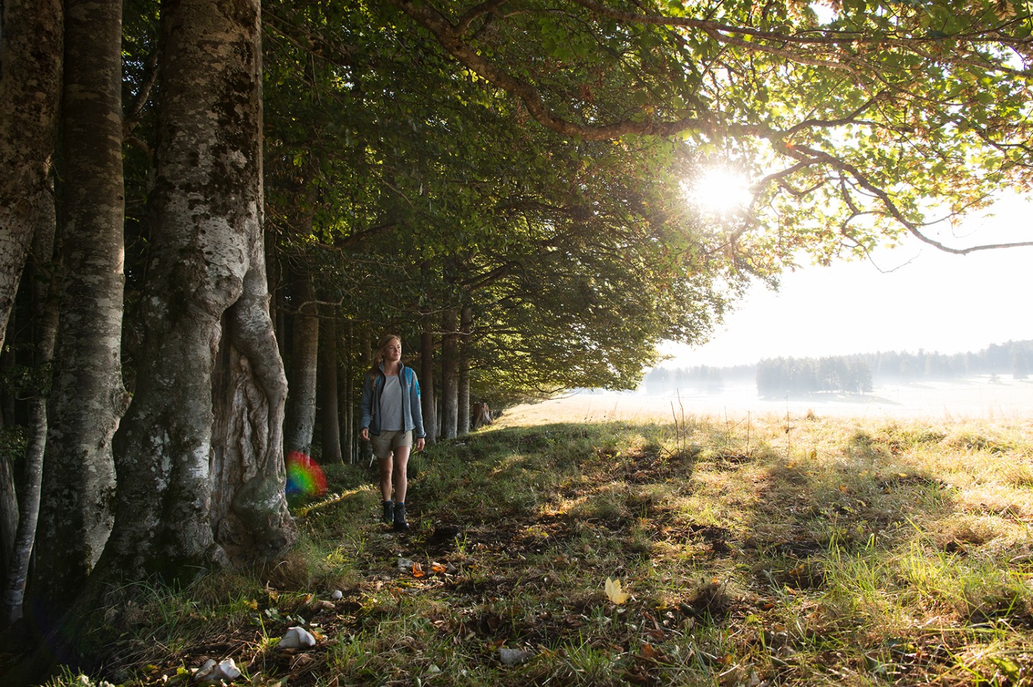 Lumière du matin dans les Franches-Montagnes. Photo: Raja Läubli