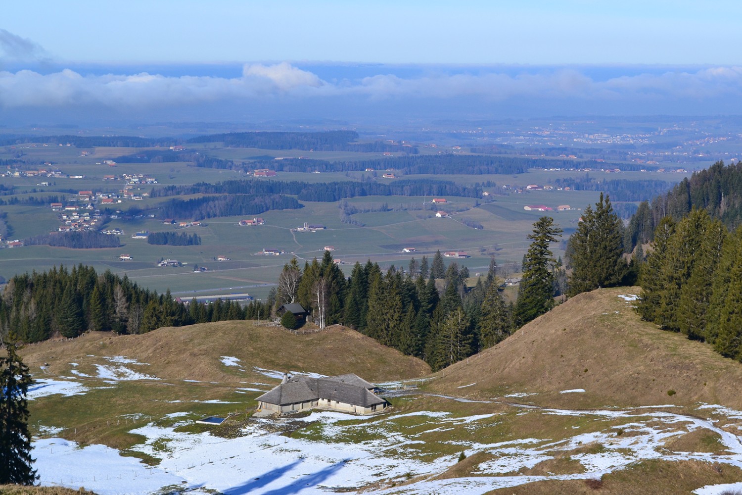 Alpgebäude mit sorgfältig gedecktem Schindeldach bei Mollie Vieille ob Semsales.
Bilder: Sabine Joss