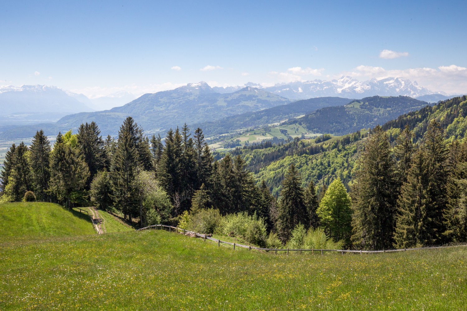 Die Wanderung ist aussichtsreich. Man sieht von St. Anton Richtung Rheintal und zum Alpstein. Bild: Daniel Fleuti 
