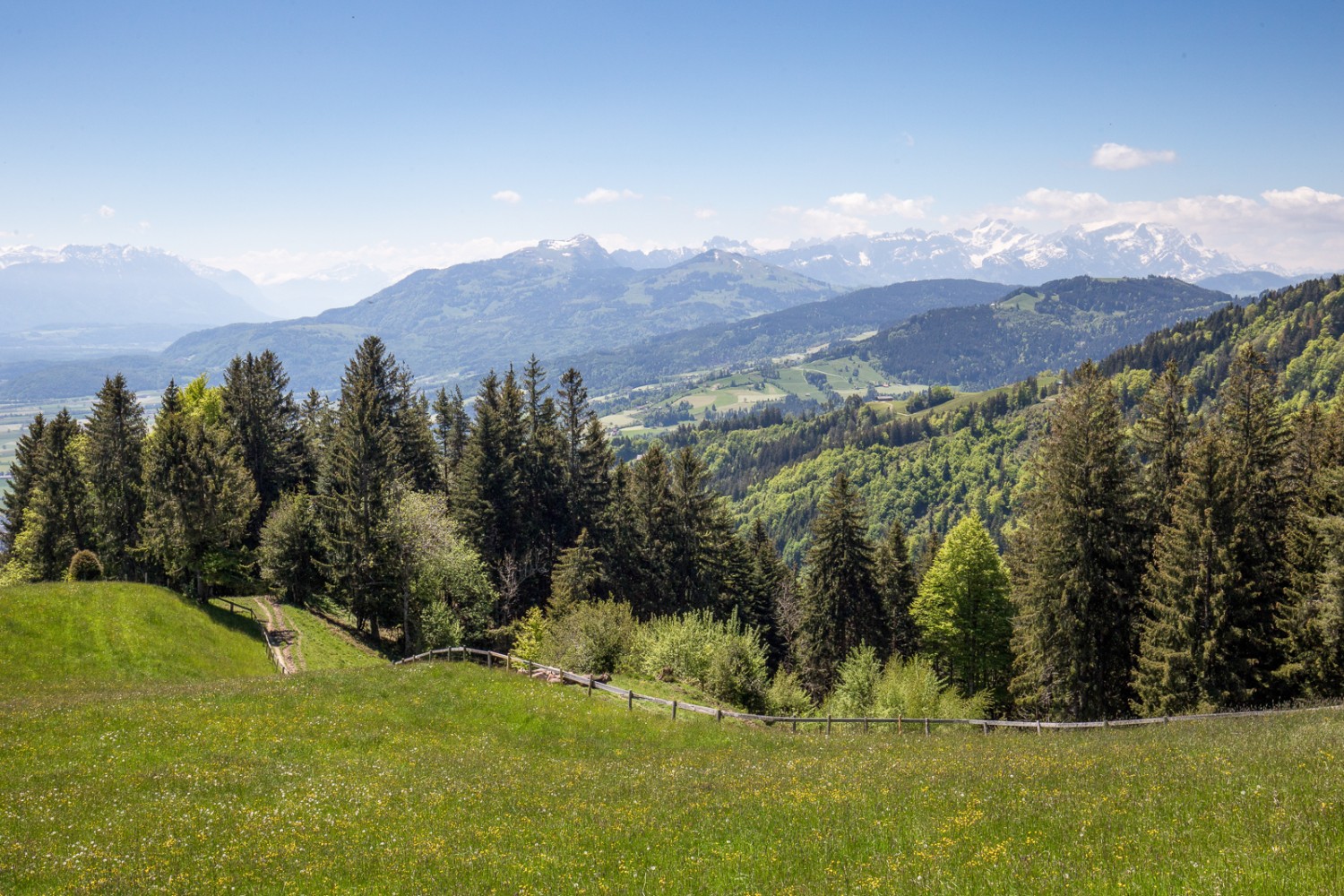 Die Wanderung ist aussichtsreich. Man sieht von St. Anton Richtung Rheintal und zum Alpstein. Bild: Daniel Fleuti 
